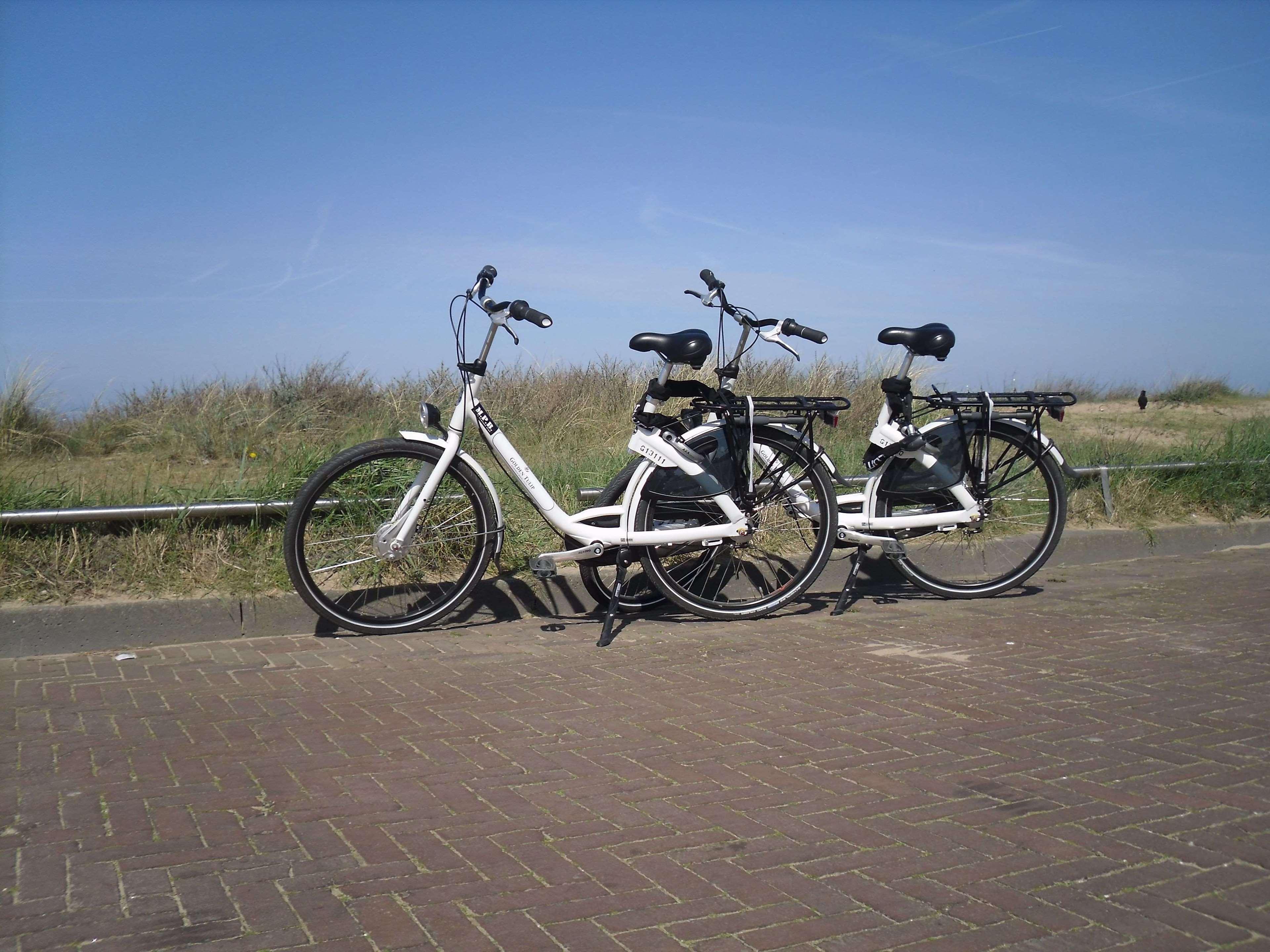 Two Brothers Noordwijk Beach Exteriör bild